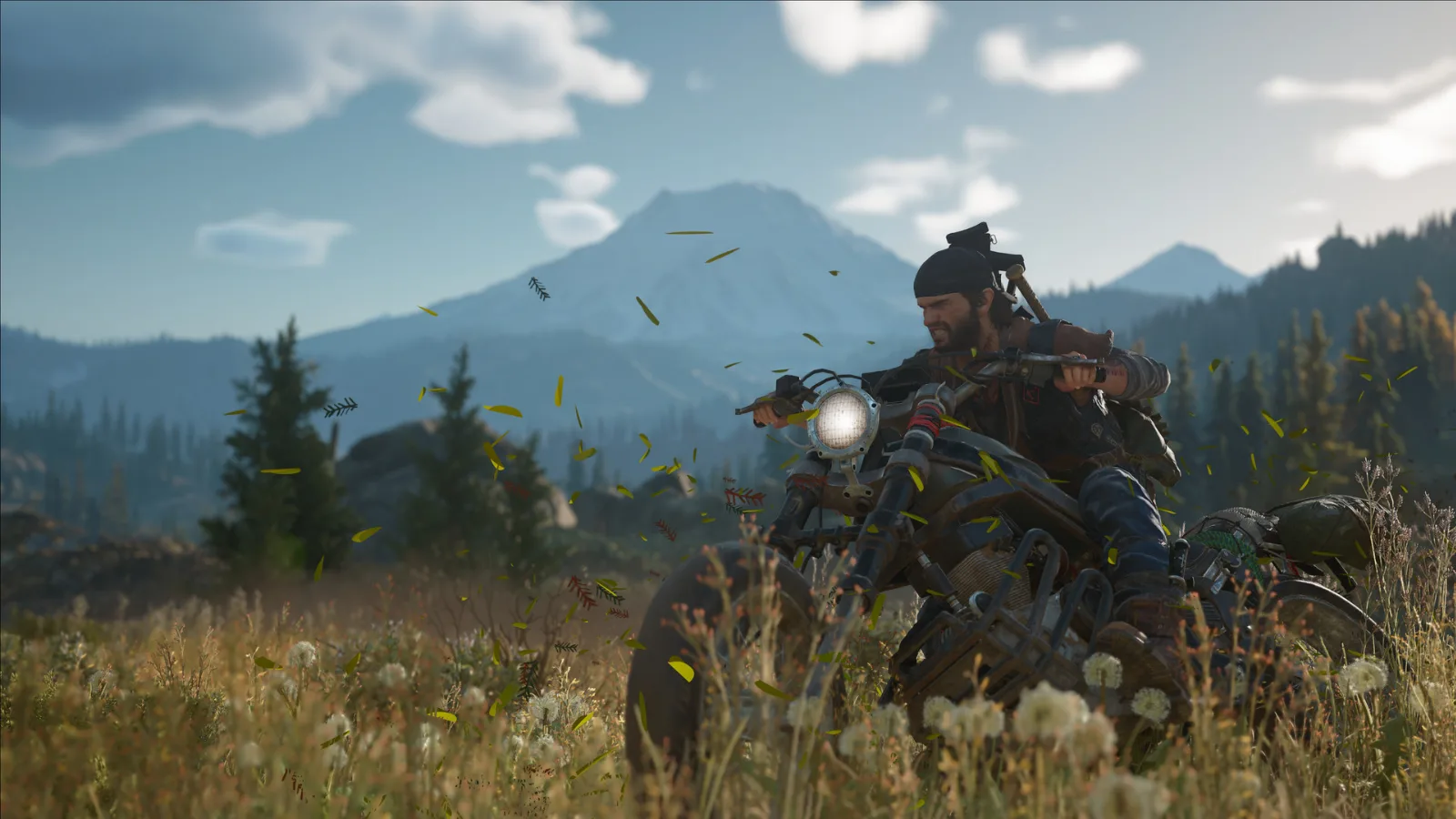Days Gone — зображення 3