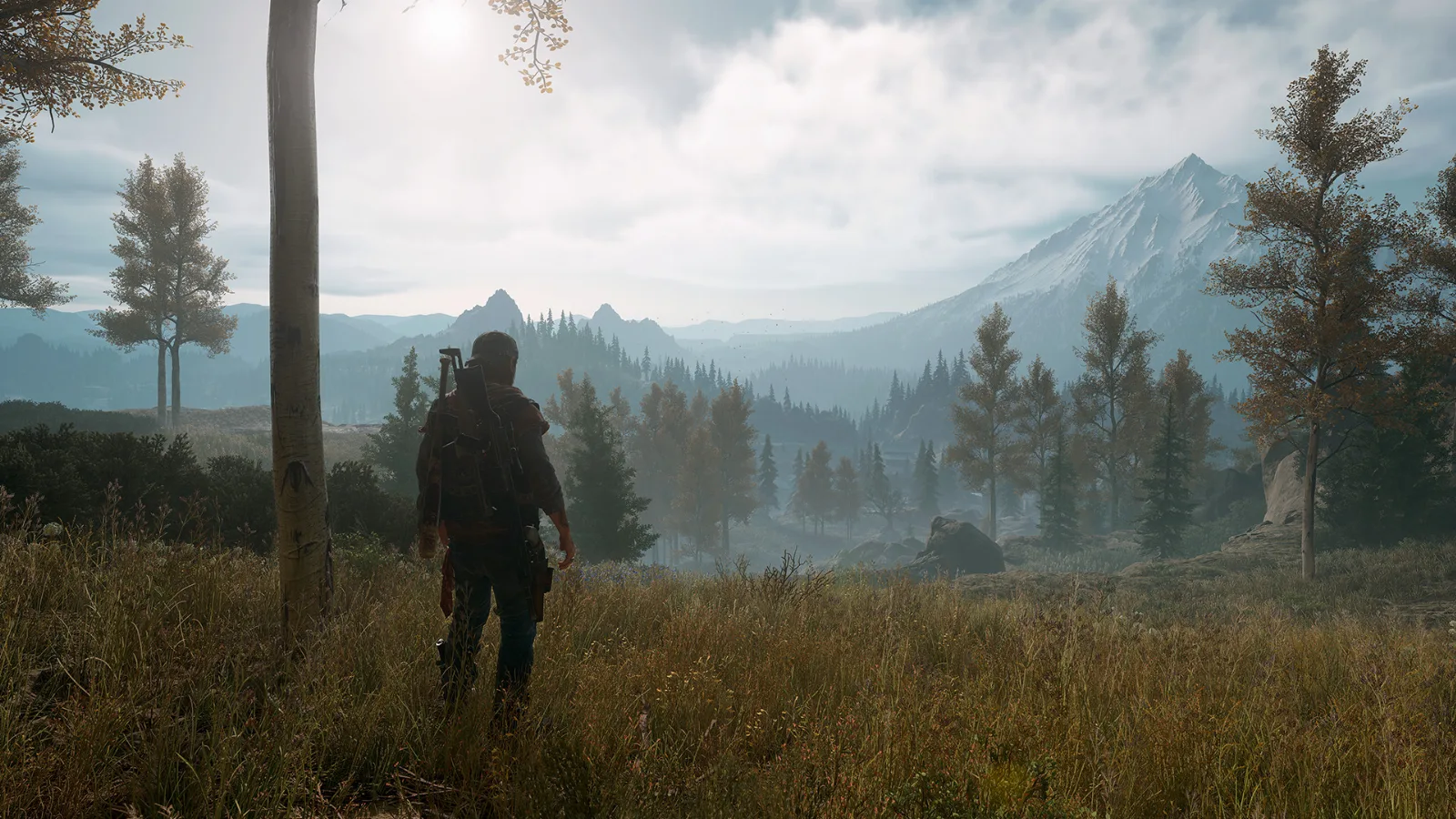 Days Gone — зображення 6