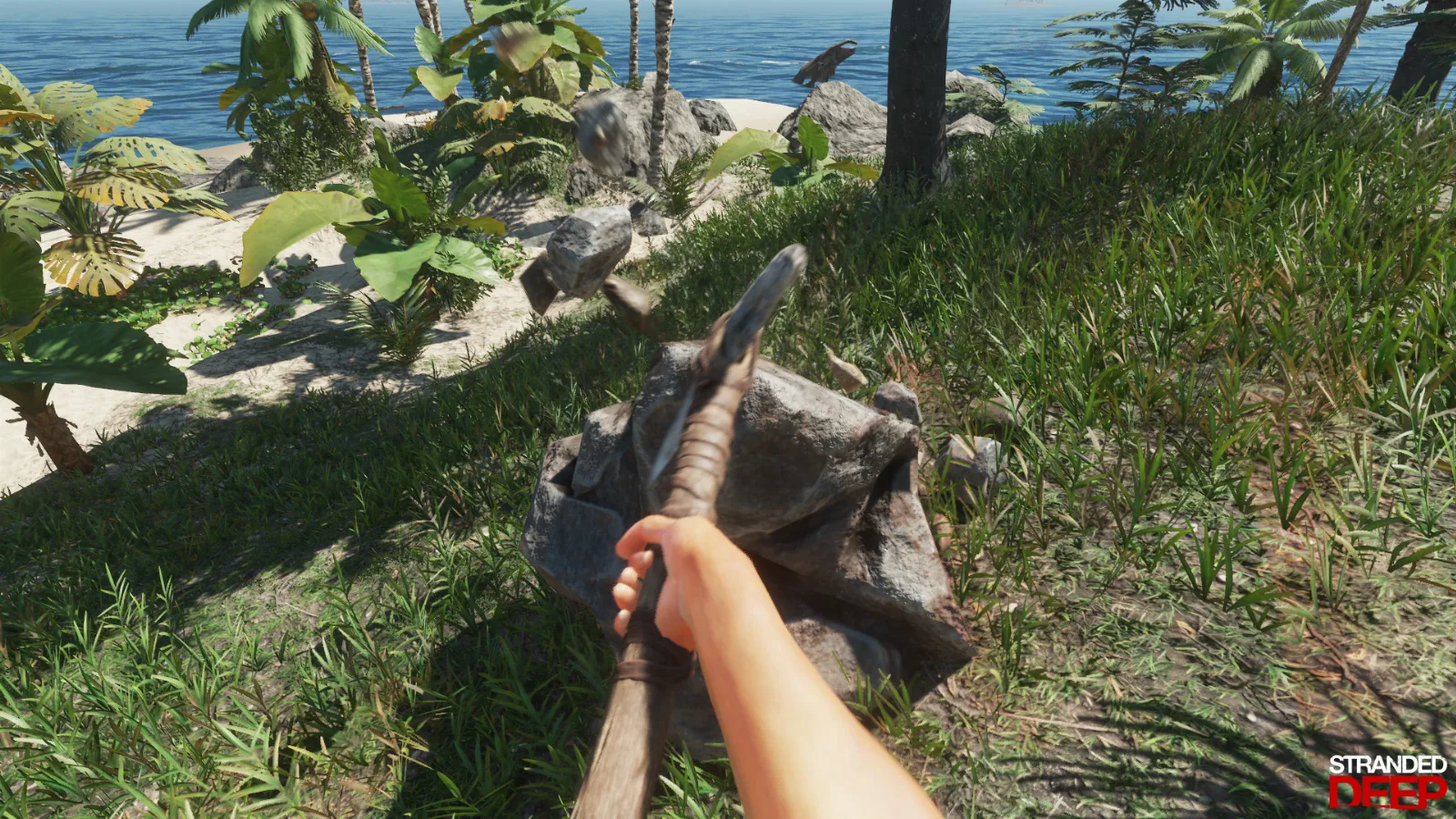 Stranded Deep — image 5