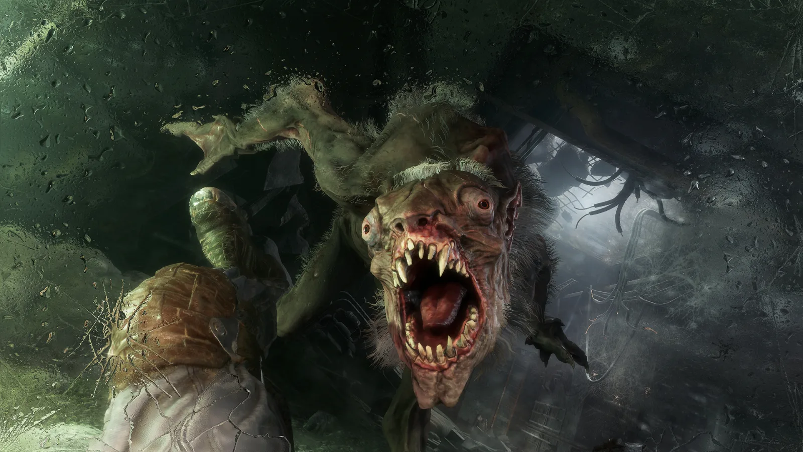 Metro Exodus — image 6