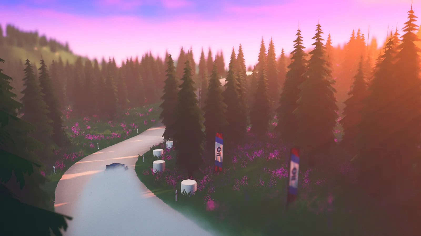 art of rally — зображення 4