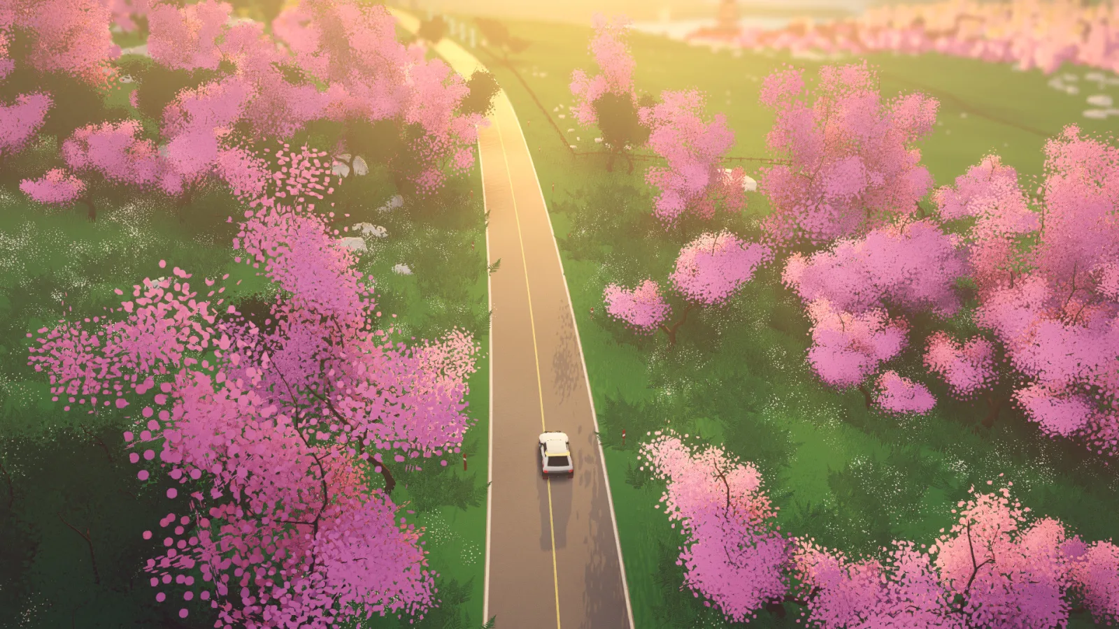 art of rally — зображення 5