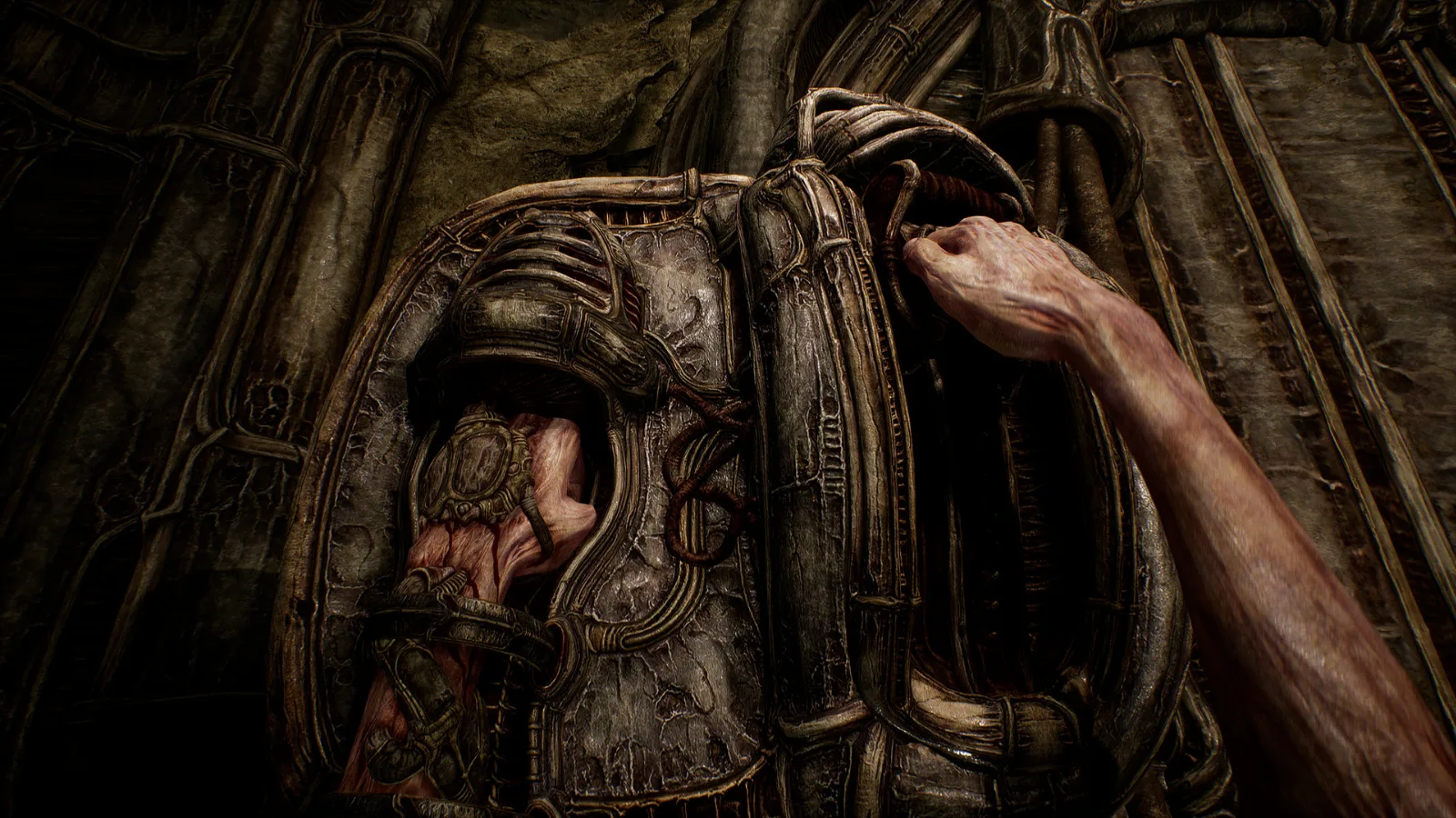 Scorn — image 6